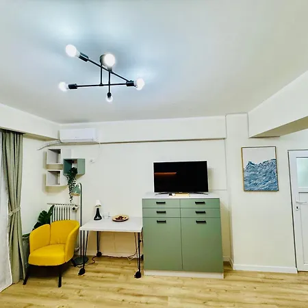 アパート Victoriei Old *