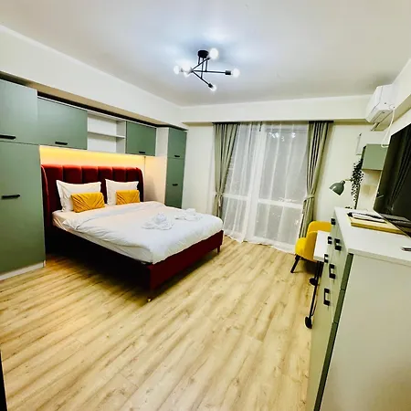 Victoriei Old アパート *