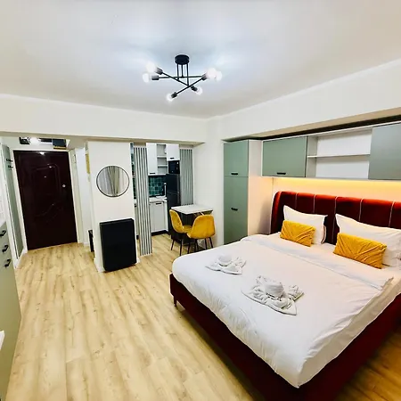 アパート Victoriei Old ブカレスト