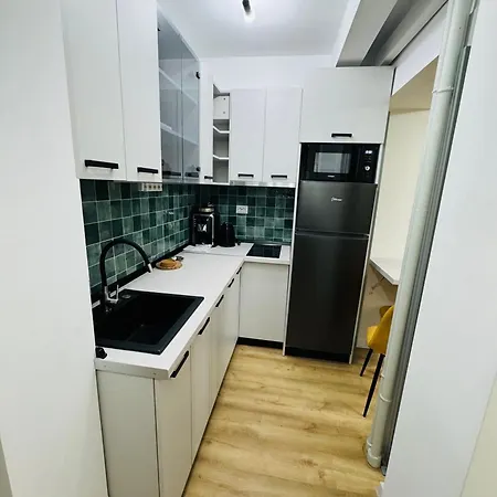 Lejlighed Victoriei Old Bukarest