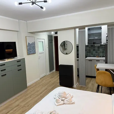 Apartament Victoriei Old Bukareszt