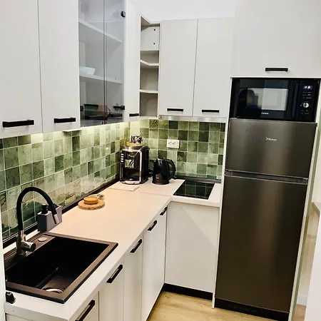 Apartment Victoriei Old *