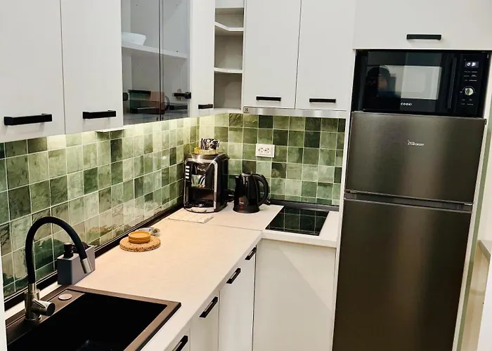 Appartement Victoriei Old *